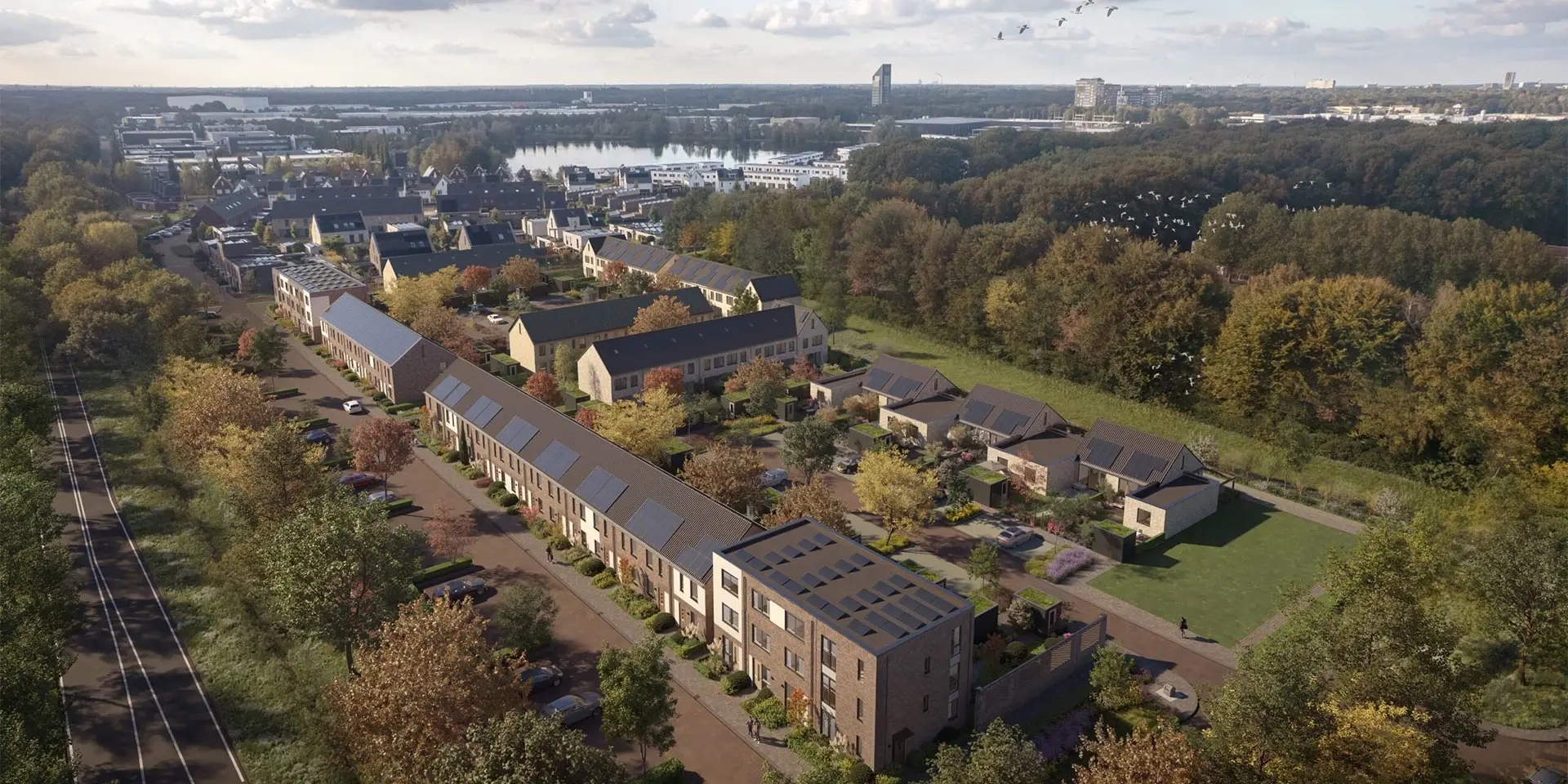 Vogelview Bosch & Veld