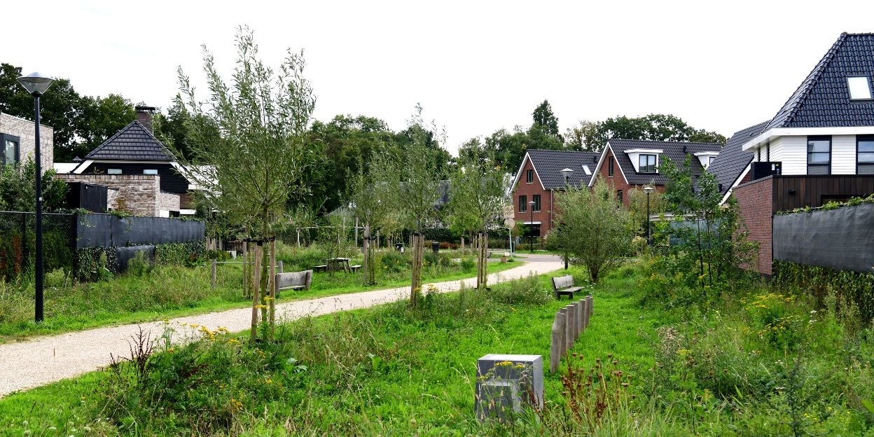 Groen in de wijk Land van Dico in Uden
