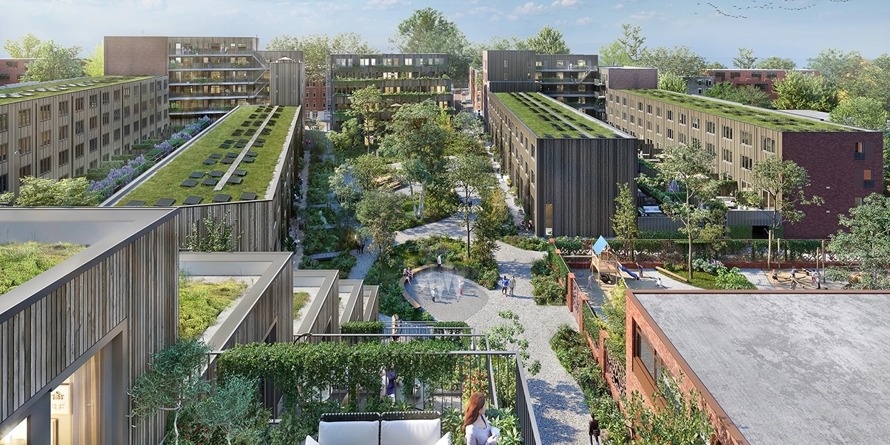 Vogelvlucht van groene daken in nieuwbouwwijk