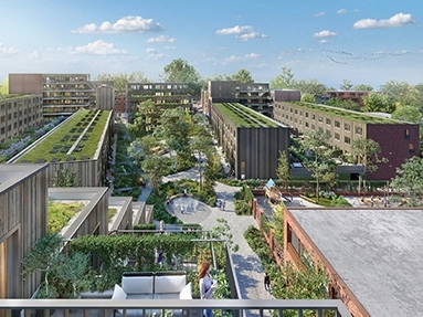 Dak, dakgoten en dakramen