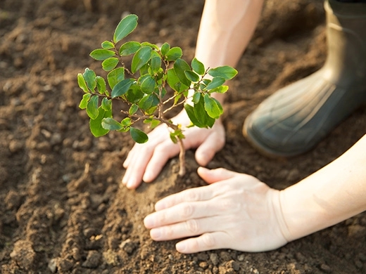 Aan de slag in je nieuwe tuin